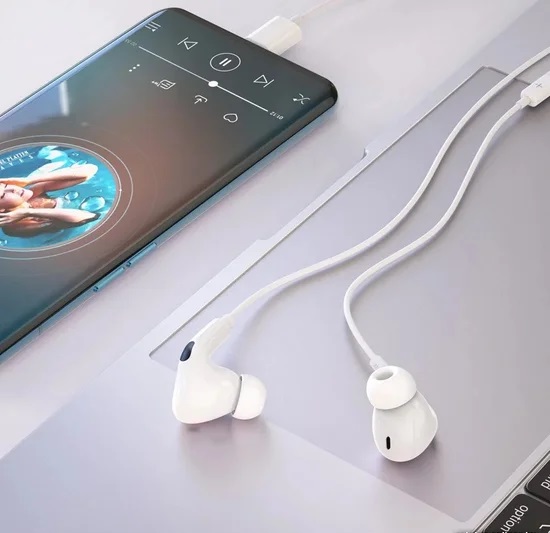 Наушники с микрофоном HOCO M101 Pro, Type-C, белый Наушники с микрофоном HOCO M101 Pro, Type-C, белый