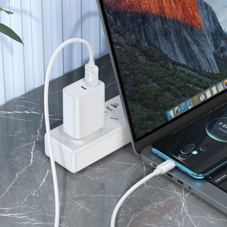 Зарядный USB дата кабель HOCO X115 Type-C, 100W, 5A, 1 м, белый