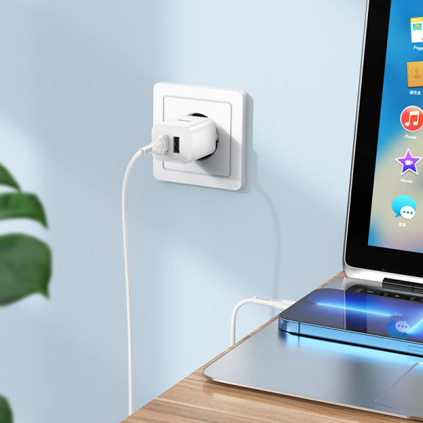 Зарядное устройство сетевое - блок питания HOCO N25, 2.1A, 2 USB, белый Зарядное устройство сетевое - блок питания HOCO N25, 2.1A, 2 USB, белый