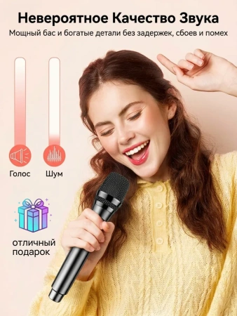 Караоке-система Аудио адаптер Hi-Fi LY18, беспроводной микрофон DM-682, комплект: 2 микрофона + приемник